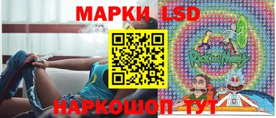 индика Вязьма