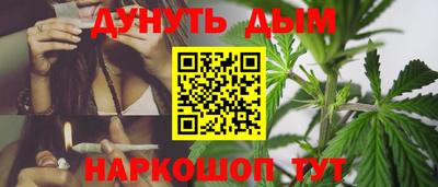 прущие грибы Вязники