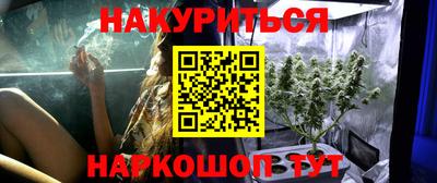 ALPHA PVP Гудермес