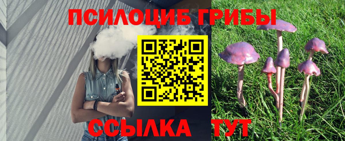 Псилоцибиновые грибы мицелий  Псилоцибиновые грибы прущие грибы  Малоярославец  Вход с VPN 