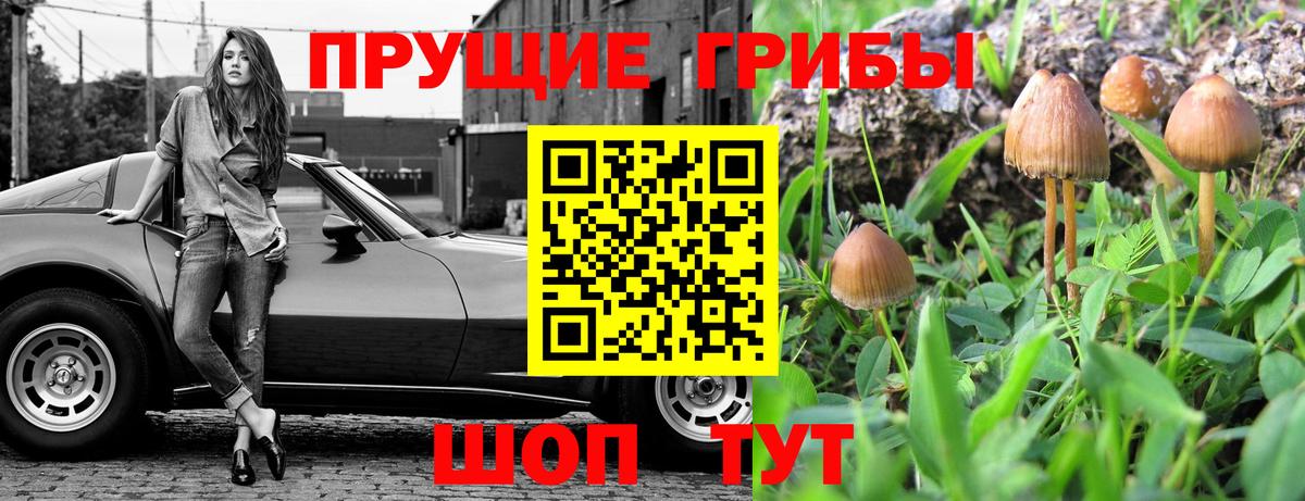Псилоцибиновые грибы GOLDEN TEACHER Малоярославец